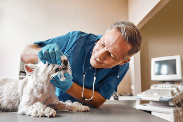 Best Emergency Dentist for Special Needs Patients in Mooresville, IN
