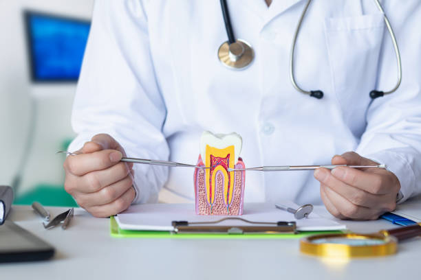 Best Broken or Cracked Tooth Emergency Dentist in Mooresville, IN